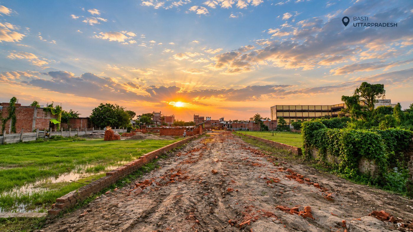 Wide Road Laying